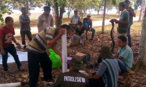 SPTN WILAYAH II BASERAH DAMPINGI YTNTN BERIKAN PELATIHAN MITIGASI KONFLIK SATWA