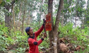 PETUGAS TN TESSO NILO PASANG PLANG PERINGATAN DAN TABUR BIJI SAAT PIKET PENJAGAAN