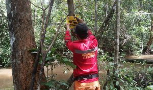 PIKET PENJAGAAN DAN PATROLI PETUGAS TN TESSO NILO