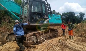 PIKET JAGA KAWASAN TN TESSO NILO, PETUGAS BERANTAS TIPIHUT