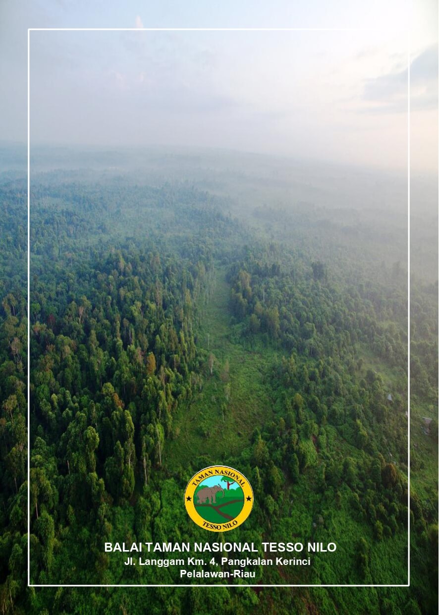 Buku Merawat Hutan