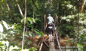 BERITA TERKINI: PATROLI SERU DI HUTAN TN TESSO NILO, TIM PETUGAS JELAJAHI SPTN WILAYAH I LKB