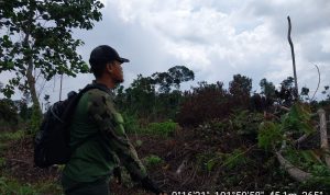 PATROLI KONSERVASI DI TESSO NILO UNGKAP BERBAGAI TANTANGAN DALAM PERLINDUNGAN HUTAN