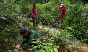 PATROLI BERSAMA MASYARAKAT, TN TESSO NILO TINGKATKAN KONSERVASI LINGKUNGAN DAN EDUKASI MASYARAKAT