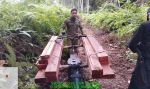 Tim Patroli SPTN Wilayah II Baserah Ungkap Kegiatan Ilegal Logging di Hutan Alam