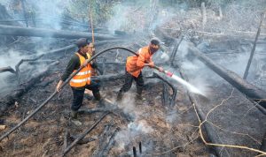 Kolaborasi Manggala Agni dan Warga Lokal Berhasil Kendalikan Kebakaran di TN Tesso Nilo