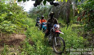 Patroli Gabungan di Tesso Nilo: Melindungi Hutan dari Perambahan