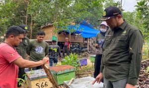 INOVASI: PEMULIHAN EKOSISTEM PRODUKTIF BERSAMA MASYARAKAT DI TAMAN NASIONAL TESSO NILO