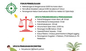 Upaya Strategis Pengelolaan Kawasan Taman Nasional Tesso Nilo