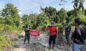 Langkah Tegas Petugas TN Tesso Nilo: Upaya Tak Kenal Lelah Menjaga Hutan Lestari