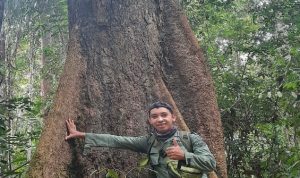 POHON TERKOKOH JUGA LAHIR DARI BENIH YANG KECIL