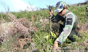 Jejak Para Penjaga Rimba: Smart Patrol di Tesso Nilo