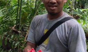 Menjaga Keindahan Kincung: Warisan Alam Tesso Nilo yang Terancam