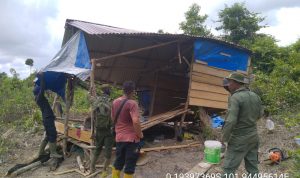 Operasi Sapuh Bersih! Tim Patroli Tesso Nilo Runtuhkan Pondok Perambah