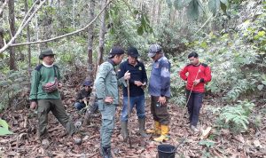 Benteng Terakhir Hutan: Tim Patroli Lawan Jejak Perusakan