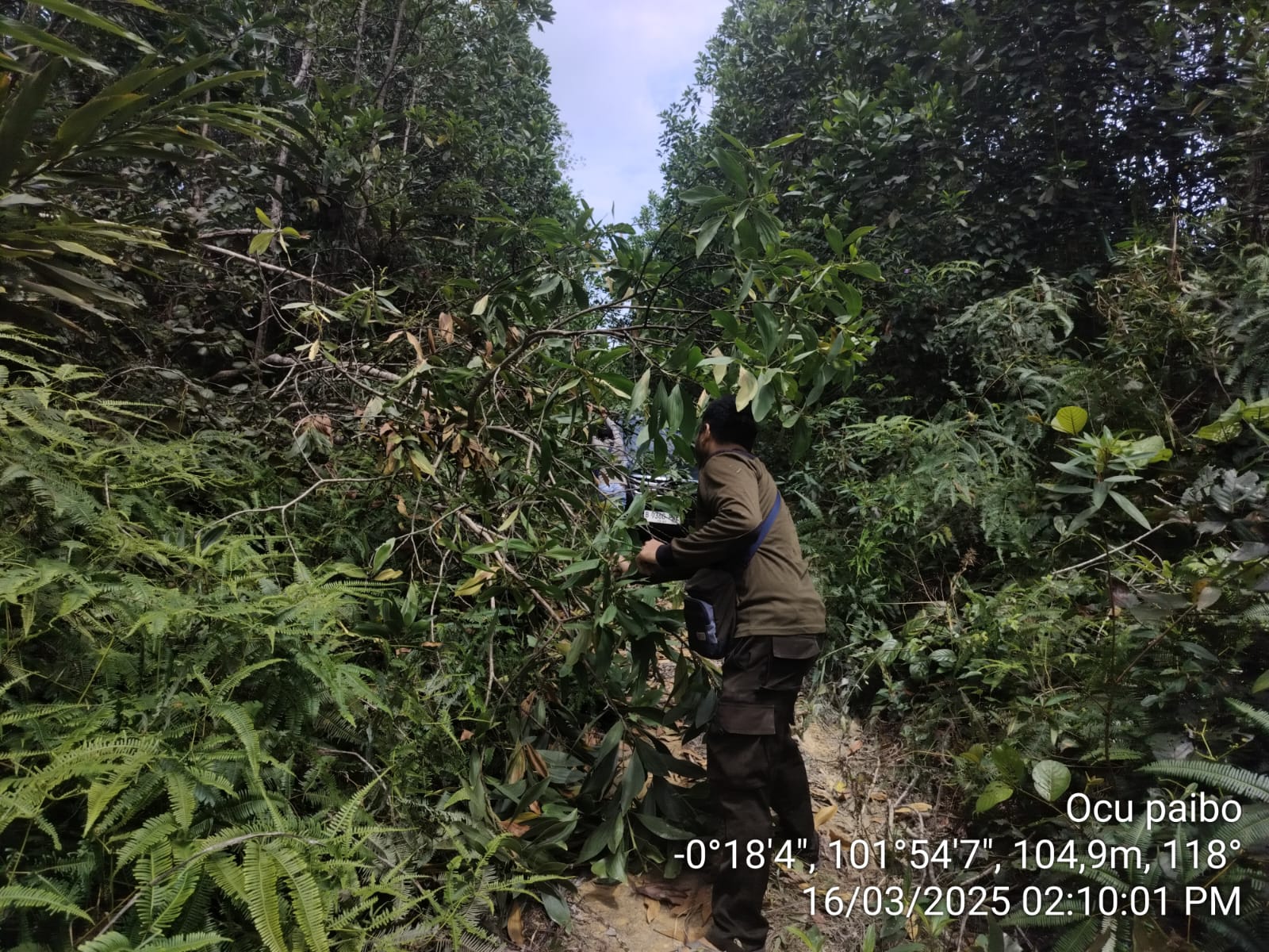Perjuangan Tanpa Henti: Patroli Hutan di Tengah Hujan dan Ancaman Alam