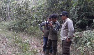 Menembus Banjir, Menjaga Hutan: Perjuangan Senyap Tim Patroli Baserah
