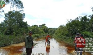 Berjuang di Tengah Banjir dan Hutan Lebat, Tim Patroli SPTN Wilayah I LKB Teguhkan Komitmen Jaga Alam