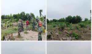 Kerja Nyata di Garis Terdepan: Satgas PKH Pos 8 Eksekusi 23 Hektar Lahan di Kawasan TNTN