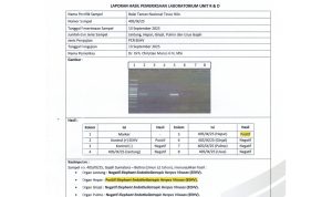 Pengumuman Hasil Pemeriksaan Laboratorium Penyebab Kematian Anak Gajah Tari