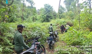 Jejak Beruang, Pondok Perambah, dan Perjuangan Tim Patroli LKB