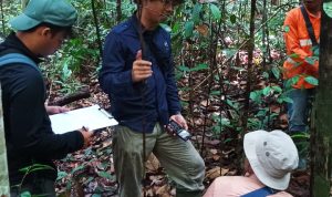 Langkah Kecil di Hutan, Penjaga Besar Masa Depan