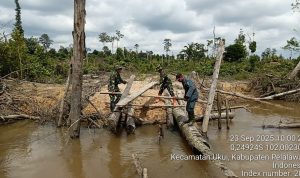 Menembus Sungai Banjir, Membongkar Pondok Ilegal: Perjuangan Tim Pemulihan Ekosistem di Tesso Nilo