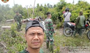 Patroli Gabungan Tesso Nilo: Menyusuri Hutan, Menegakkan Harapan