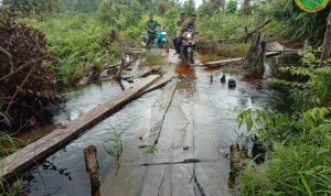 Menyusuri Tapal Batas, Menjaga Nafas Hutan Tesso Nilo
