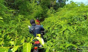 Tapak Tegas di Tanah Rawan: Patroli Bersama Menepis Ancaman di Tesso Nilo