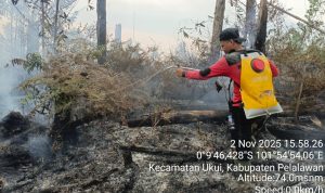 Api Padam, Semangat Tak Redup : Perjuangan Tim Manggala Agni di Lubuk Kembang Bunga