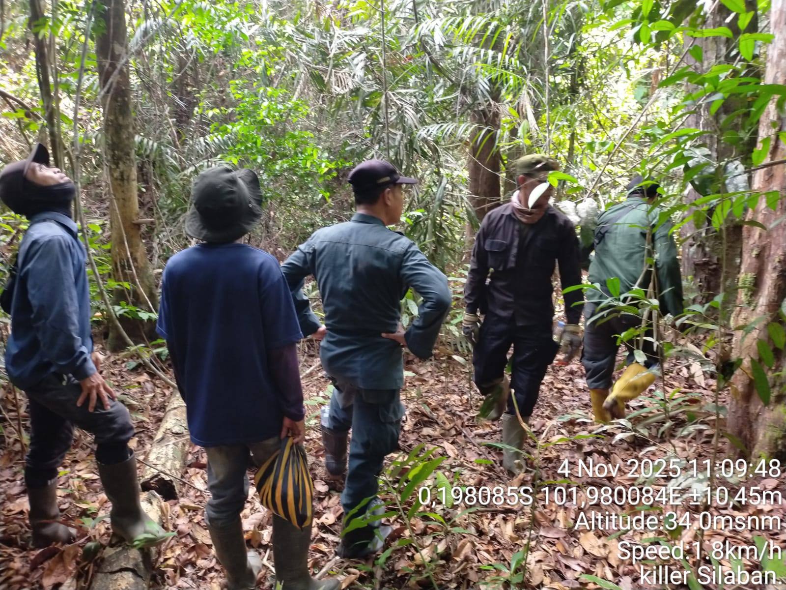 Di hamparan hijau Tesso Nilo, langkah para penjaga hutan terus menyusuri rimba, memastikan alam tetap hidup dalam keseimbangannya