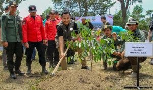 Bersama Menanam, Pulihkan Hutan di Taman Nasional Tesso Nilo