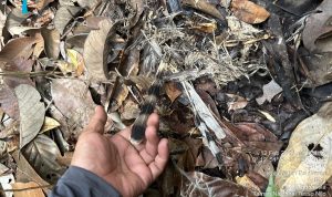 Jejak Satwa, Jejak Petugas