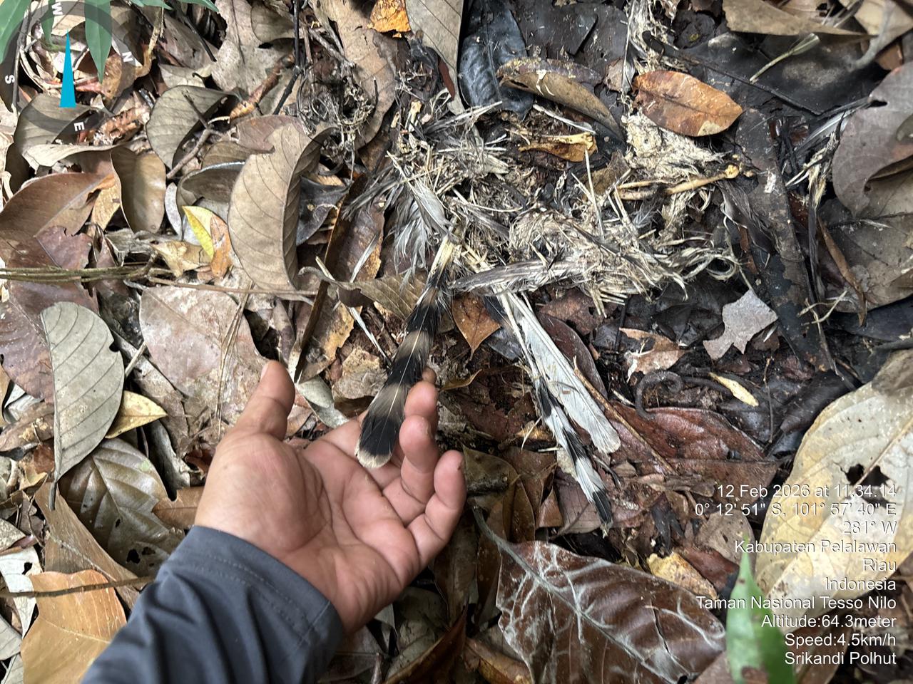 Jejak Satwa, Jejak Petugas