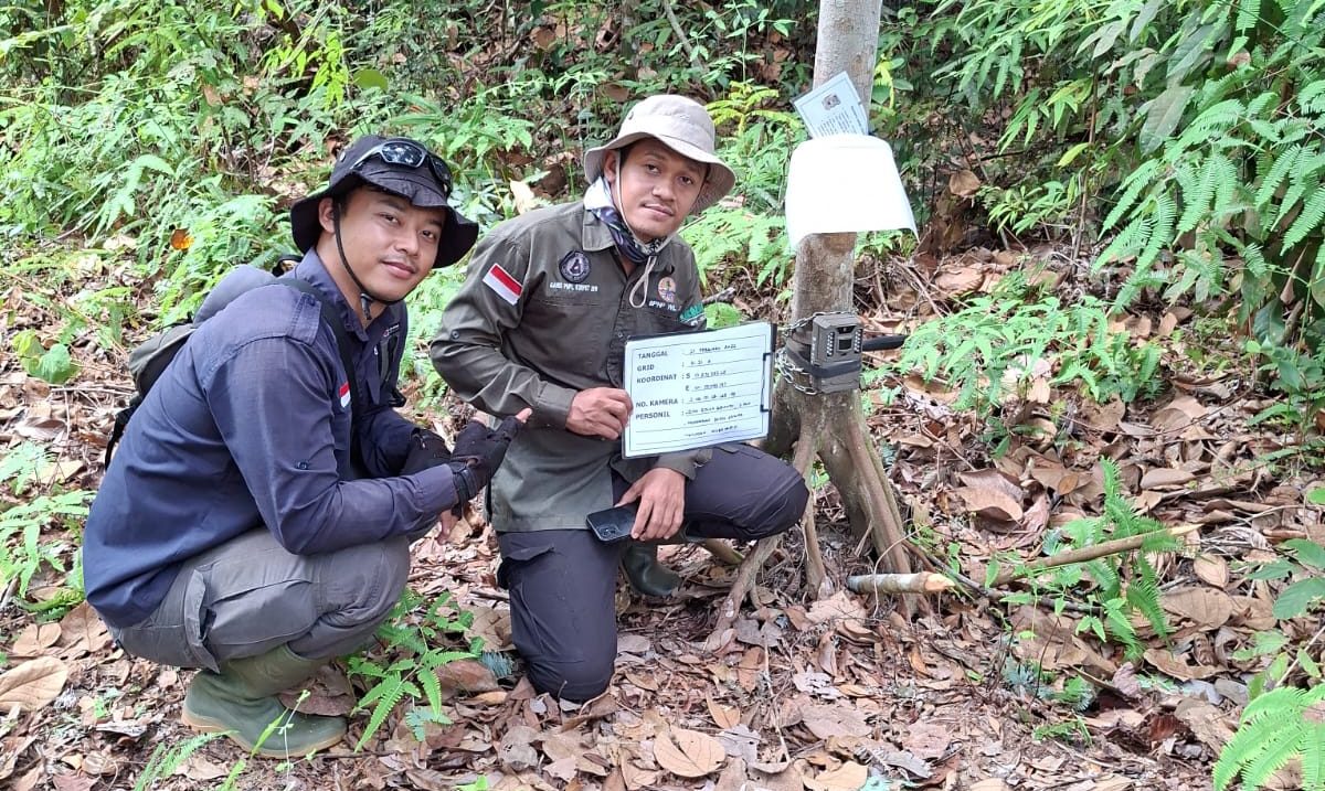 Merekam Kehidupan Tapir, Merawat Harapan Hutan