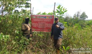 Di Ujung Bara dan Bayang Belantara: Perjuangan Sunyi Penjaga Taman Nasional Tesso Nilo