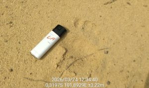 Kabut, Jejak, dan Ancaman: Catatan Patroli Enam Hari di Tesso Nilo