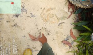 Hutan Berbicara Lewat Jejak, Petugas Menjawab dengan Aksi