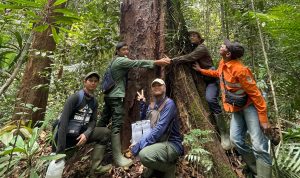Serunya Patroli di Taman Nasional Tesso Nilo: Menjaga Hutan Sambil Camping di Alam Liar