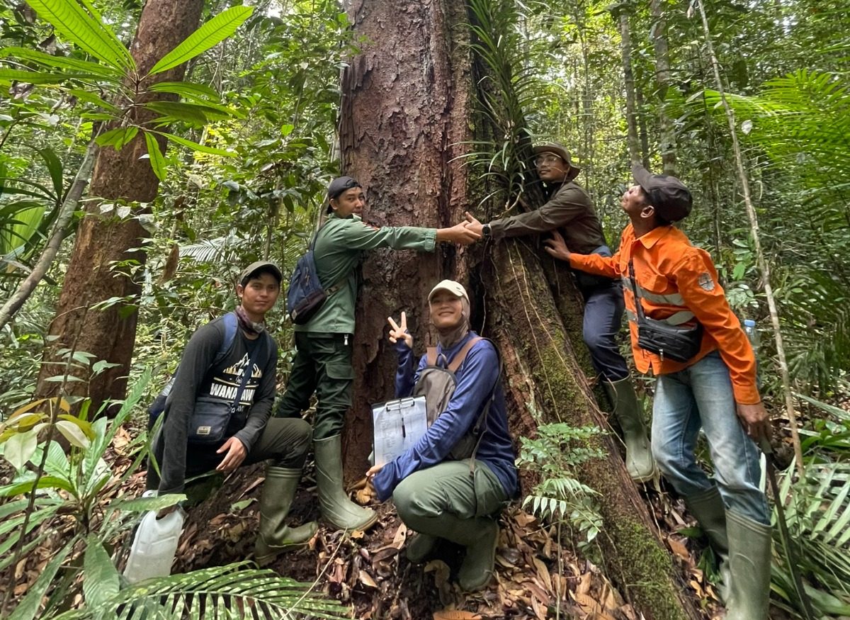 Serunya Patroli di Taman Nasional Tesso Nilo: Menjaga Hutan Sambil Camping di Alam Liar