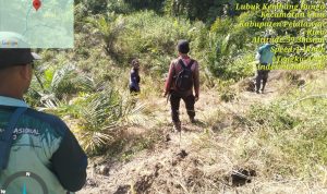 Menjemput Asa di Belantara Kenayang: Perjuangan Petugas Melacak Gajah Liar yang Terluka