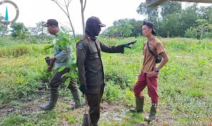 Menjaga Jantung Hijau Air Hitam: Mandat Berat di Bawah Guyuran Hujan dan Ancaman Sawit Liar