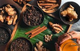 Mencicip “Apotek Alami” ala Suku Petalangan di Tesso Nilo + Resep Jamu Pengusir Lelah!