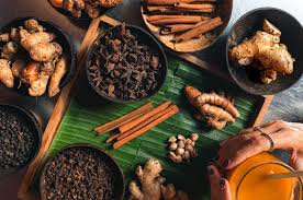 Mencicip “Apotek Alami” ala Suku Petalangan di Tesso Nilo + Resep Jamu Pengusir Lelah!