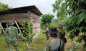 Menjaga Jantung Tesso Nilo: Enam Hari Taruhan Nyawa Tim Smart Patrol di Rimba Sumatra