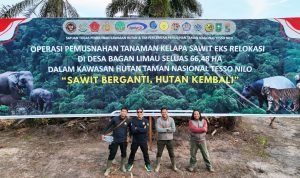 Menjemput Asa Tesso Nilo: Deru Ekskavator dan Peluh Petugas di Jantung Hutan yang Terluka
