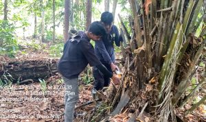 Mengembalikan Senyum Tesso Nilo, Satu Demi Satu Langkah