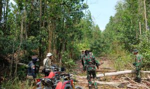 Kala Alam Mulai Pulih: Asa Petugas TNTN Menyusuri Rute Sunyi Kenayang-Meranti