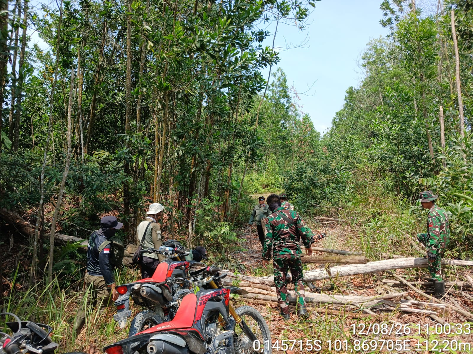 Kala Alam Mulai Pulih: Asa Petugas TNTN Menyusuri Rute Sunyi Kenayang-Meranti